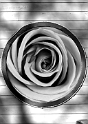 Wall_Art_Alphabet_Photography_Art_ 1620